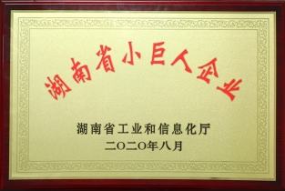 小巨人企業